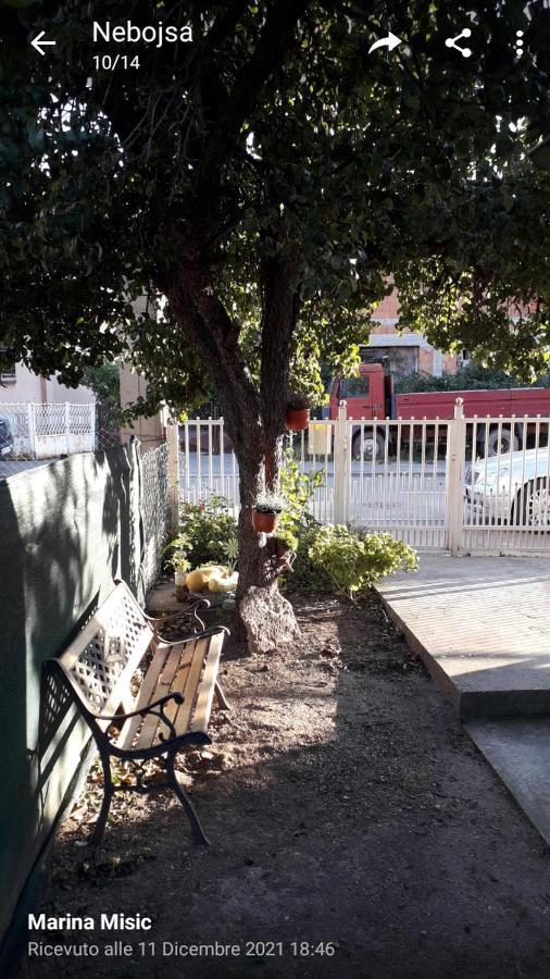 Požarevac Apartman Milica מראה חיצוני תמונה