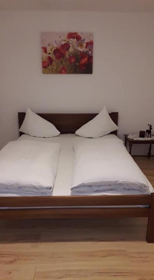 Požarevac Apartman Milica מראה חיצוני תמונה