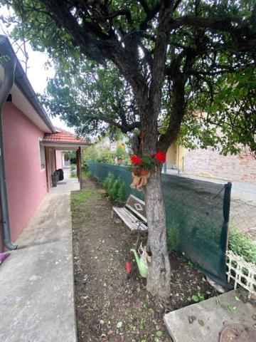 Požarevac Apartman Milica מראה חיצוני תמונה
